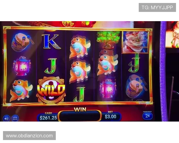 2024年老虎机旗舰厅官方地址最新更新，确保玩家体验流畅安全的官方入口