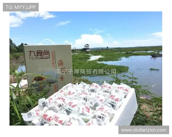 老虎机 线上:如何在网上玩老虎机赢取更多奖金的实用技巧与注意事项 老虎机 线上:如何在网上玩老虎机赢取更多奖金的实用技巧与注意事项